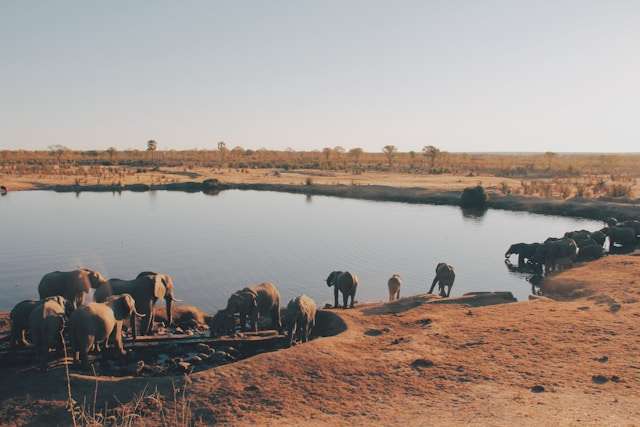 Zimbabwe tour packages