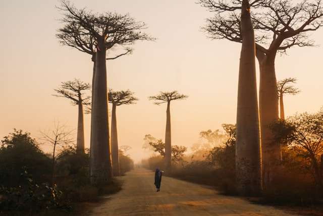 Madagascar tour packages