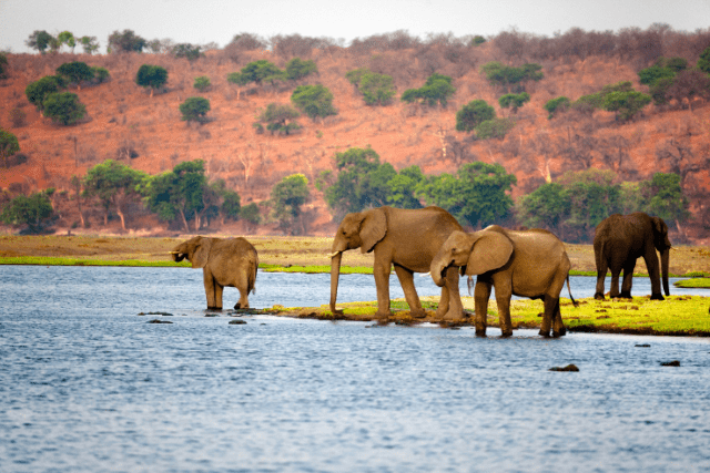 botswana tour packages