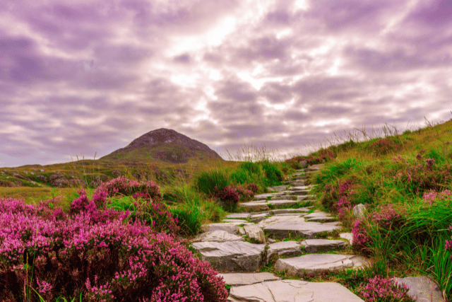 all inclusive trips to Ireland