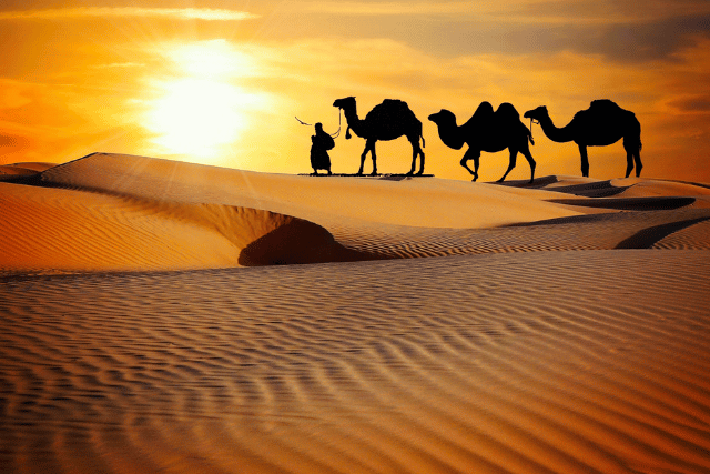 Rajasthan Travel packages