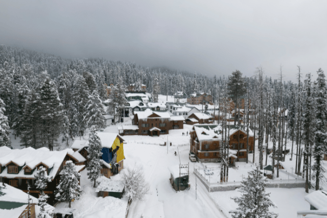 best kashmir tour packages
