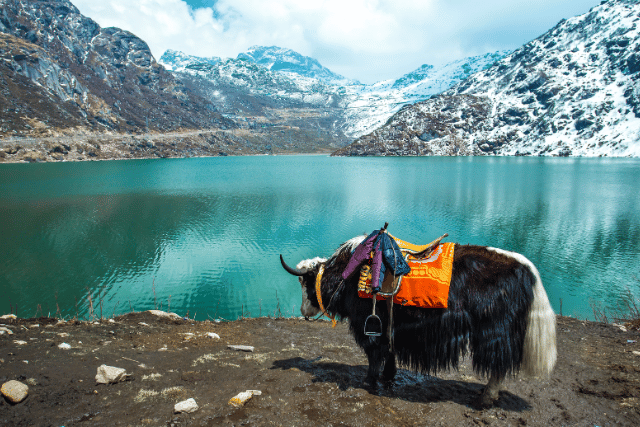 Sikkim holiday package