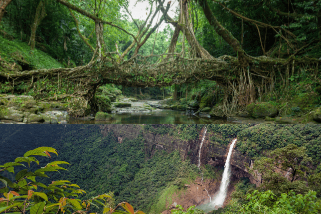 Meghalaya Tour packages