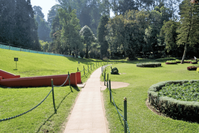 Ooty Tour packages for family