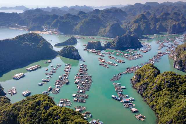 Vietnam holiday packages