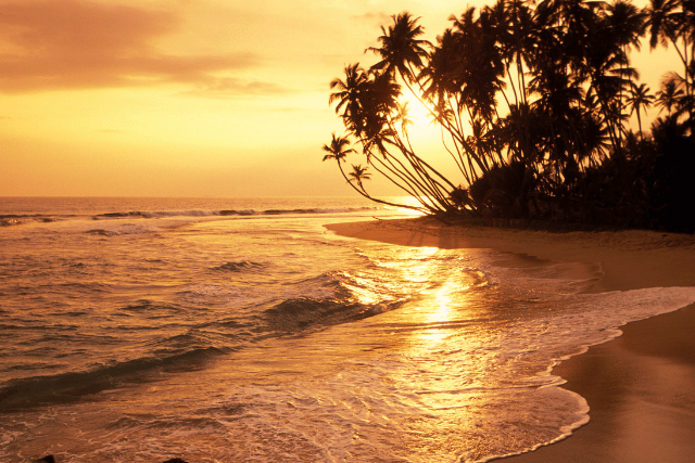 Sri Lanka all inclusive holidays