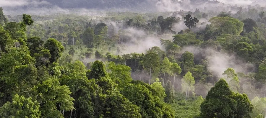 cardamom mountains trekking