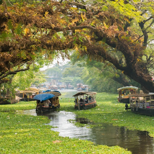 Kerala tour packages for family