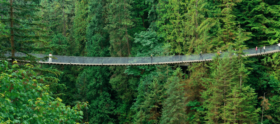 Capilano Suspension Bridge Vancouver