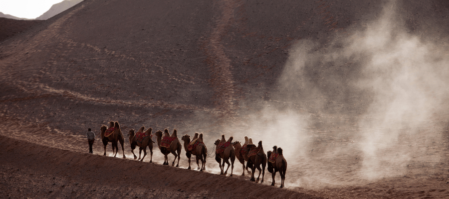 The Silk Road