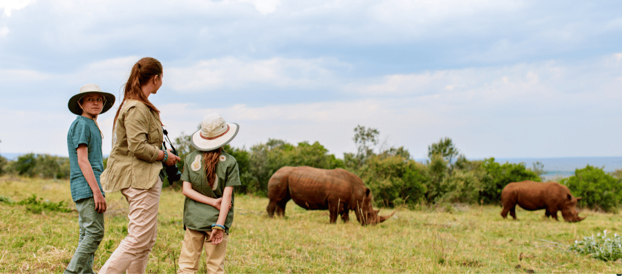 African Safari