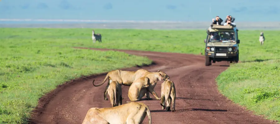 Safari in Africa