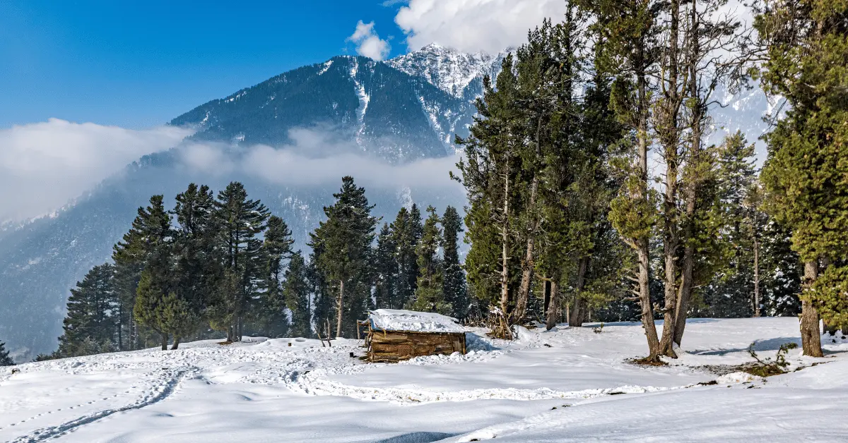 Kashmir-Tourist