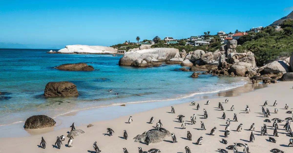 South-Africa-Tourist