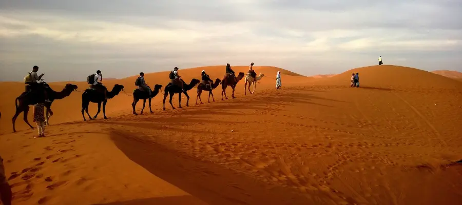 The Sahara Desert