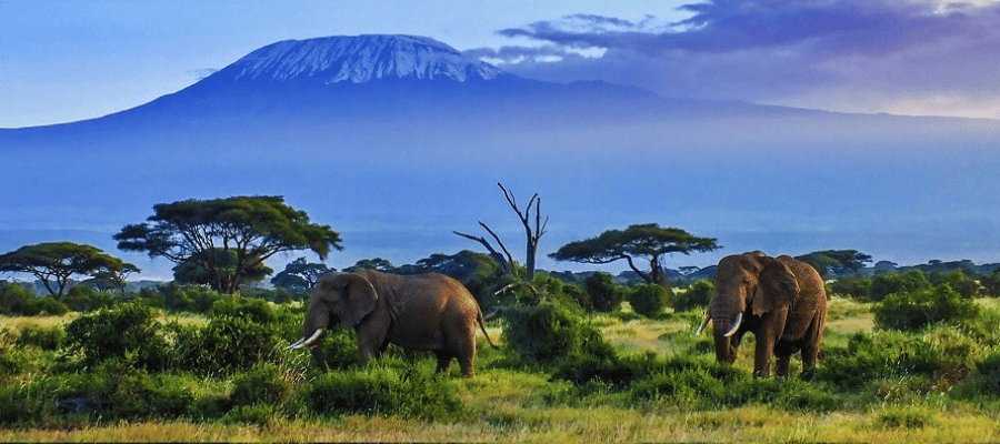 Amboseli National Park, kenya tourist places