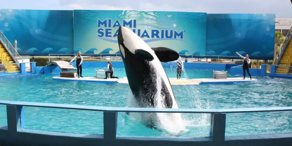 Miami-Seaquarium