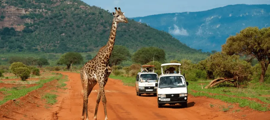 Tsavo National Parks, Kenya Tourist Places