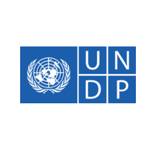 UNDP LOGO