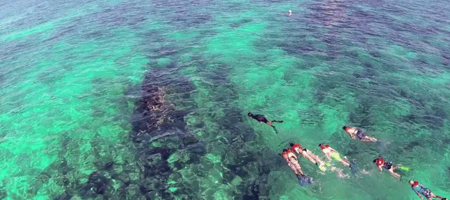 Water Adventures in Biscayne Bay, best thing to do in miami