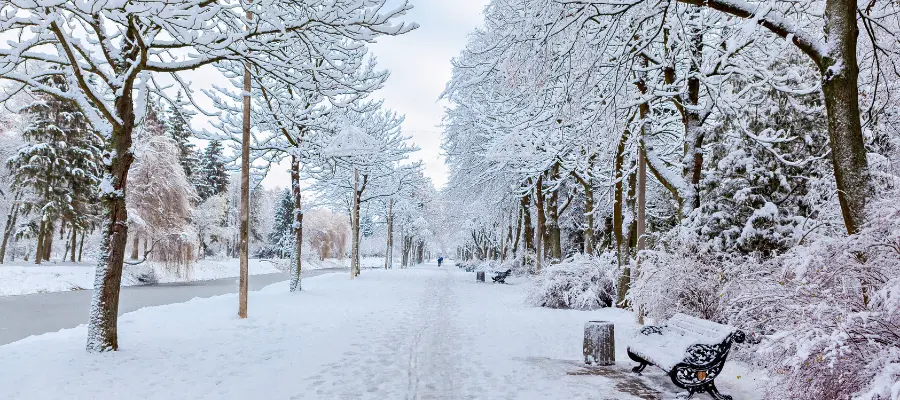 China in January