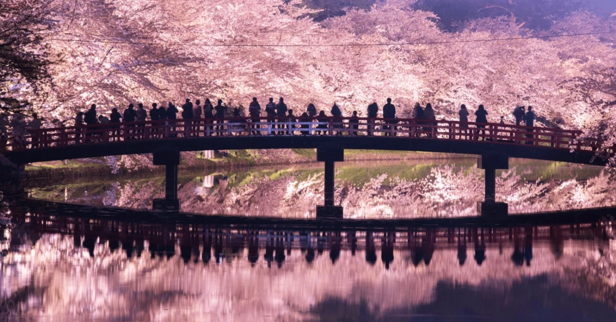 Cherry Blossom Festival