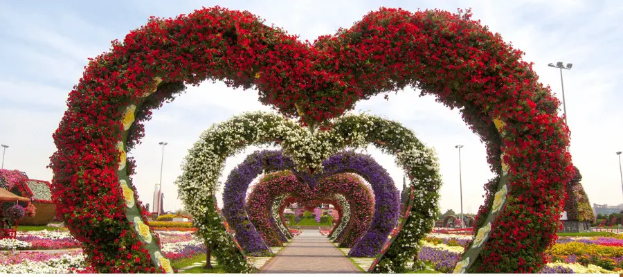 Miracle Garden Dubai