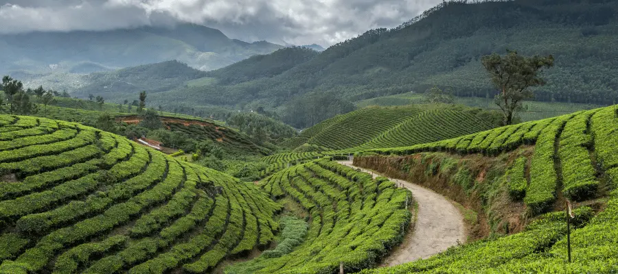 Munnar, Best destination in march in india