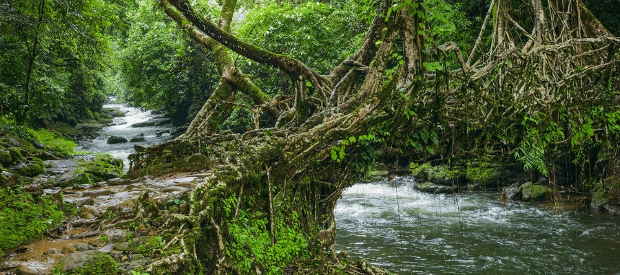 Shillong, Meghalaya