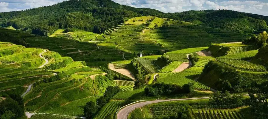 Coorg, Best Place to visit in May June in India