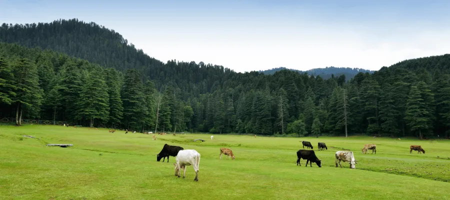 Dalhousie, best place to go in april in india