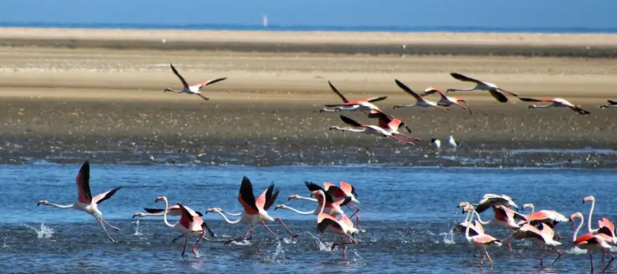 Iona National Park, tourist attraction in Angola