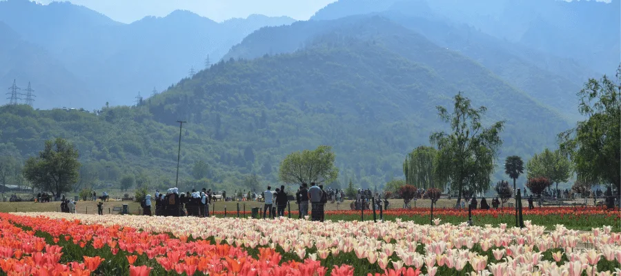 Kashmir, Best place to go in april in india