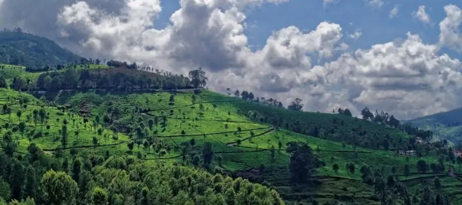 Kotagiri, Tamilnadu