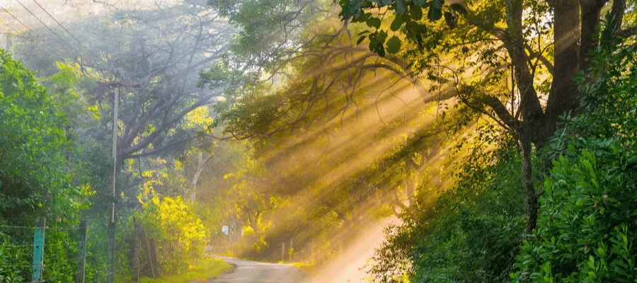 Masinagudi, Best place to go in april in india