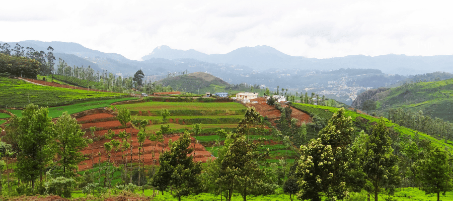 Ooty, best place to visit in india in june with family