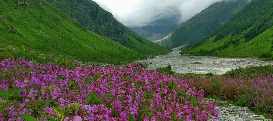 Valley of flowers Uttarakhand