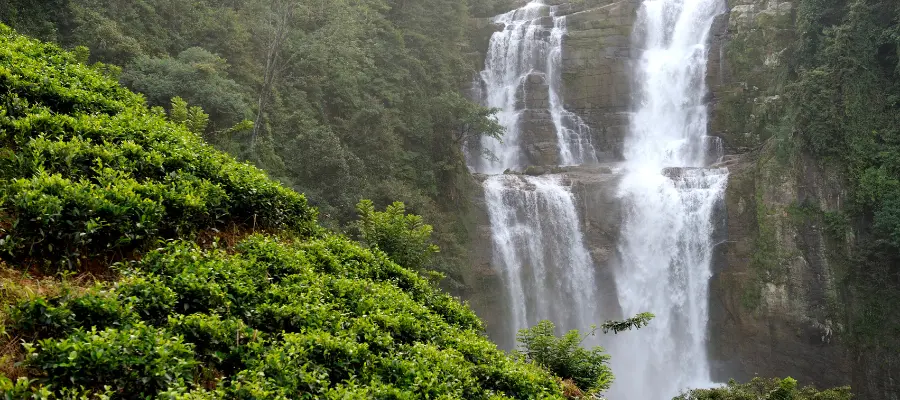 kodaikanal in monsoon
