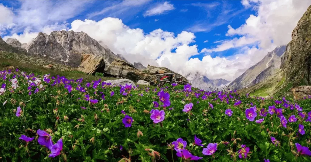 How to Reach Valley of Flowers Uttarakhand