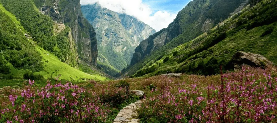 Valley of flowers Uttarakhand