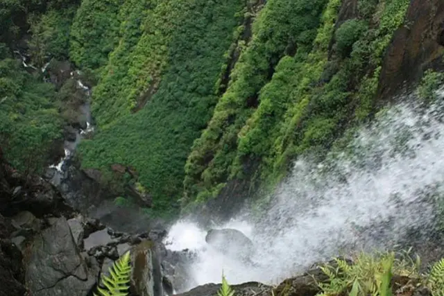 Agumbe in Monsoon