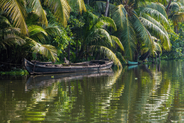 Alleppey in monsoon