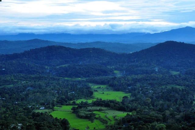 Coorg in Monsoon