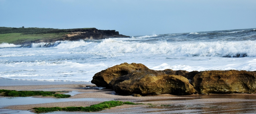 Daman and Diu