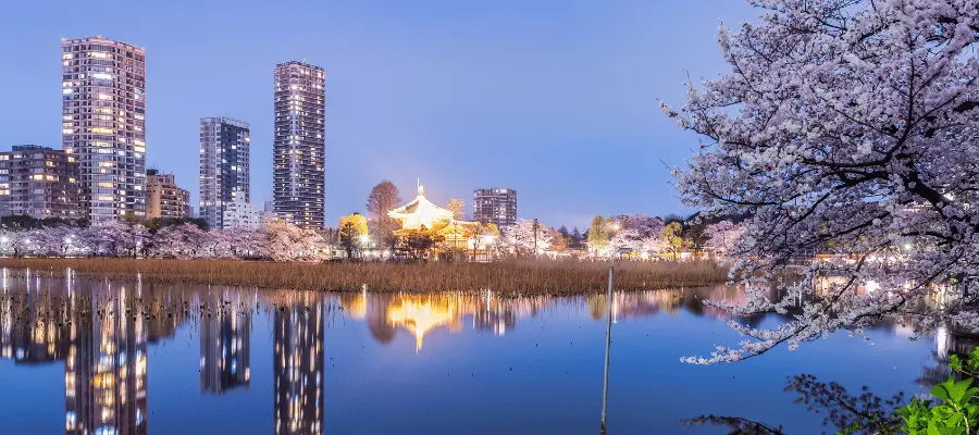 Top Attractions in Tokyo
