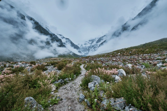 Valley of Flowers Uttarakhand