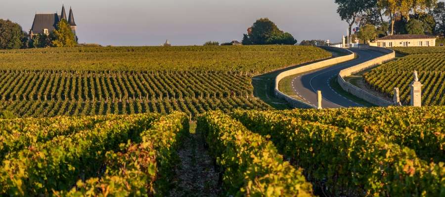 Bordeaux _Places to Visit in France