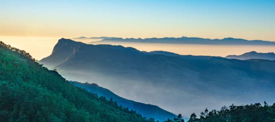 Munnar _ Places to Visit in October in India