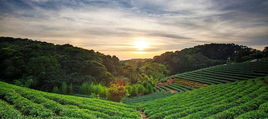 Wayanad, Kerala